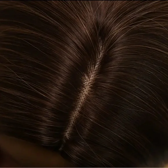 New Brown and Blonde Highlighted Wig